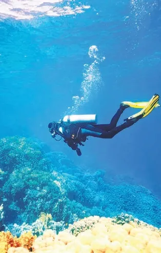 Kıvanç Tatlıtuğ büyük balık peşinde