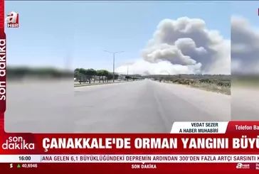 Çanakkale'de orman büyüyor