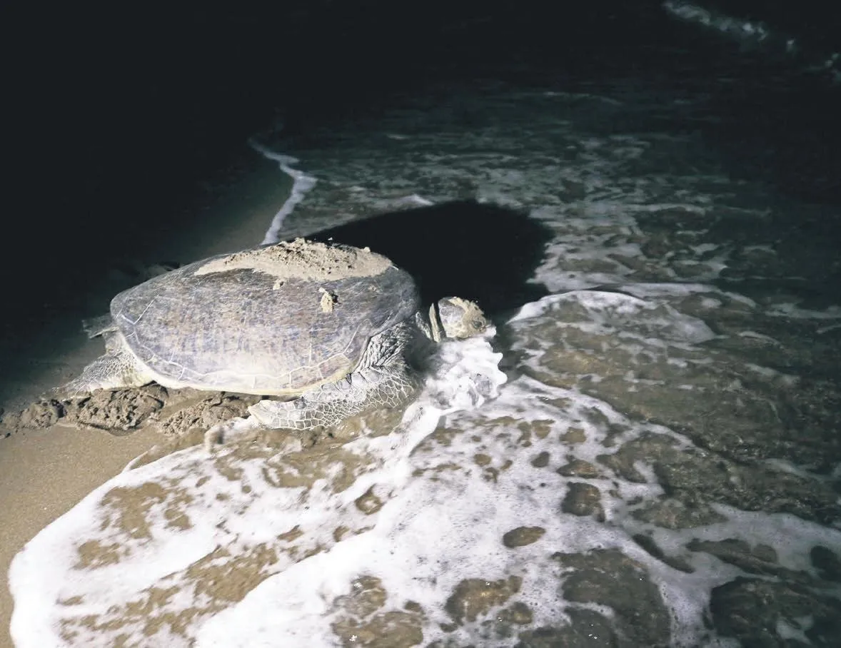 Sahillere gece yasağı