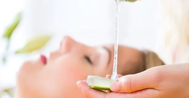 Aloe vera sivilceye veda (Sağlık haberleri)