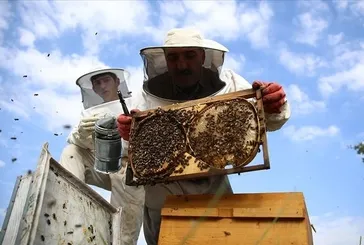 Bingöl Balı’nın ilk dolumu gerçekleşti