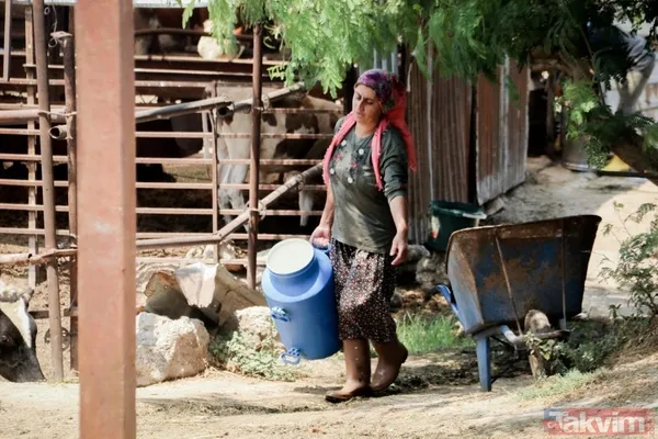 Evde canı sıkılan kadın 4 bileziğini satıp hayvancılık işine girdi! 5 milyon liralık servet sahibi oldu - 13