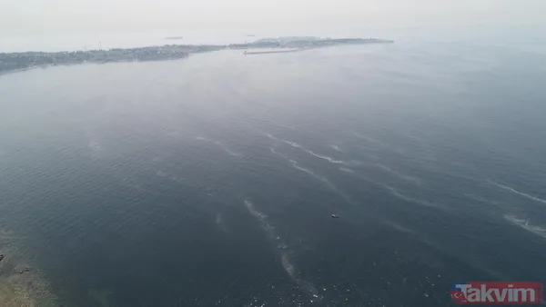 Müsilaj kabusu geri döndü! İstanbul'da müsilaj her geçen dakika artıyor - 6