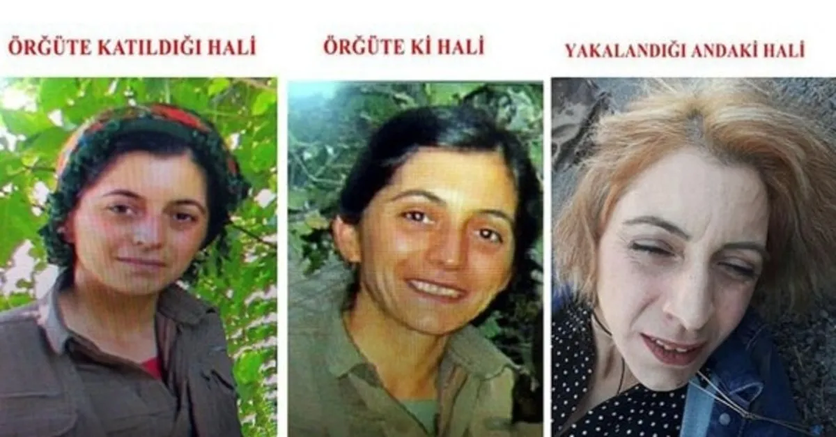 "Nirvana" pkk tecavüz ile ilgili görsel sonucu