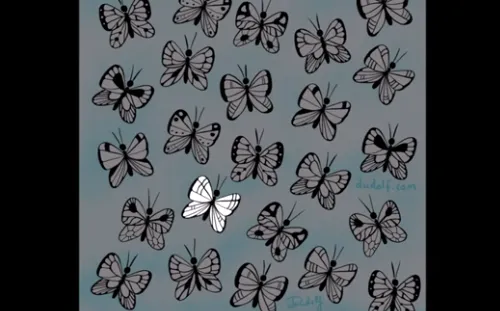 IQ testi: Bulanların Zekası Oldukça Kıvrak! Hangi Kelebeğin Benzersiz Bir Deseni Vardır?-6