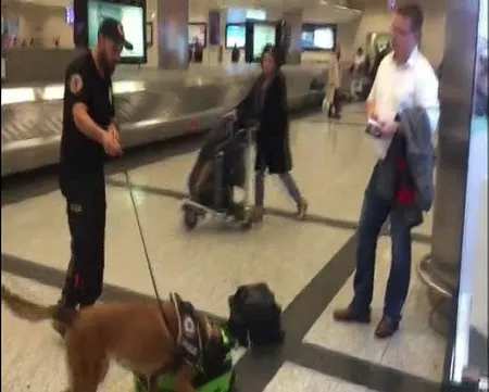Almanya'dan gelen yolcuların valizlerine köpekli arama-1