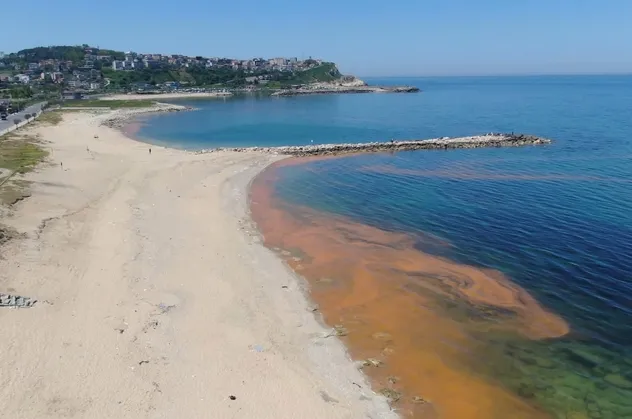 Karadeniz'deki renk değişiminin sırrı çözüldü! Su turuncuya dönmüştü
