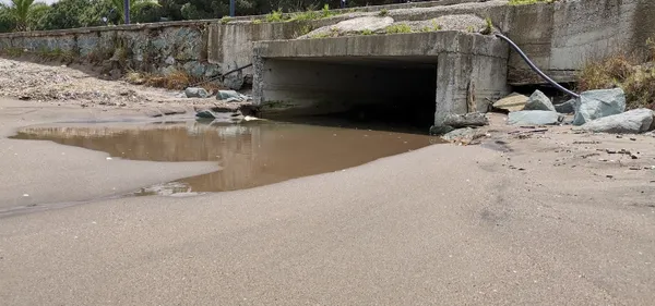 son-dakika-marmara-denizinden-sonra-karadenizde-de-musilaj-deniz-salyasi-goruldu-uzmanlar-uyardi-boyle-giderse-kaplanir-1623048495801.jpg SON DAKİKA: Marmara Denizi'nden sonra Karadeniz'de de müsilaj (deniz salyası) görüldü! Uzmanlar uyardı: Böyle giderse kaplanır-8