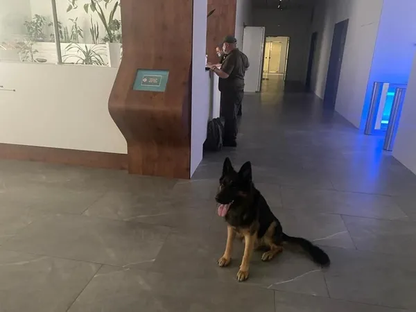 belediye-binasinda-panik-dolu-saatler-bitcoin-yollamazsaniz-bombayi-patlatirim-1625595033203.jpg Belediye binasında panik dolu saatler: Bitcoin yollamazsanız bombayı patlatırım-3