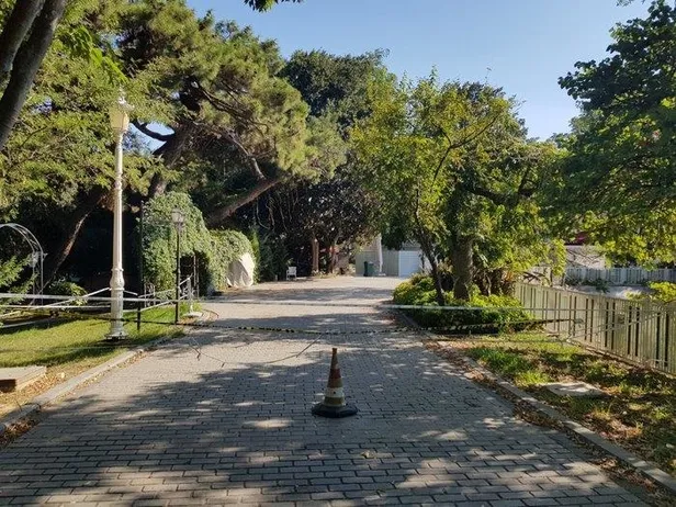 CHP'li İBB'nin ilgisizliği yüzünden Yıldız Korusu can çekişiyor! Elektrik yok mermerler kırık-4