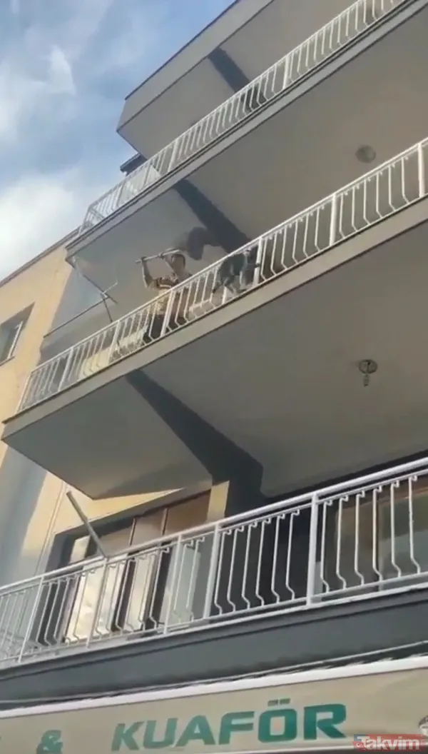 Aydın'da evden kaçan maymun apartmanı birbirine kattı - 5