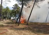 Son dakika: İstanbul'da korkutan yangın (Video)