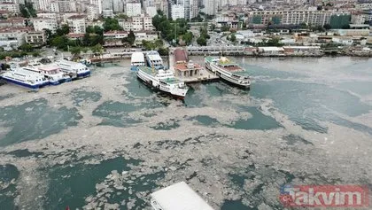SON DAKİKA: İstanbul Bostancı’da sahili deniz salyası kapladı