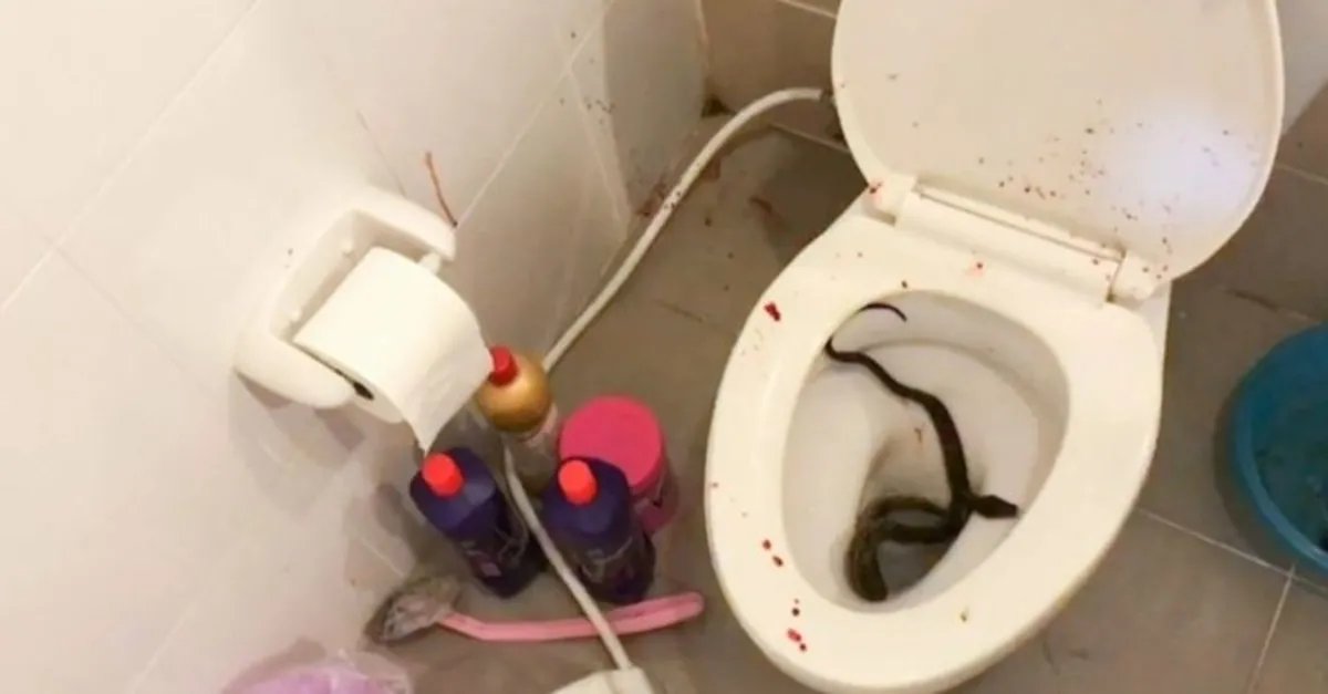 akillara durgunluk veren olay bir anda