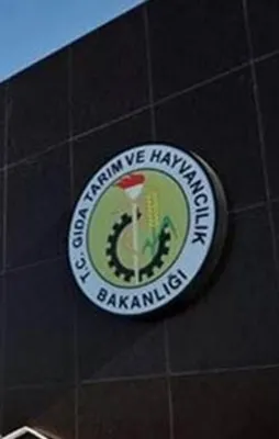 Bakanlık yeni müjde! Bu ay açıklanacak