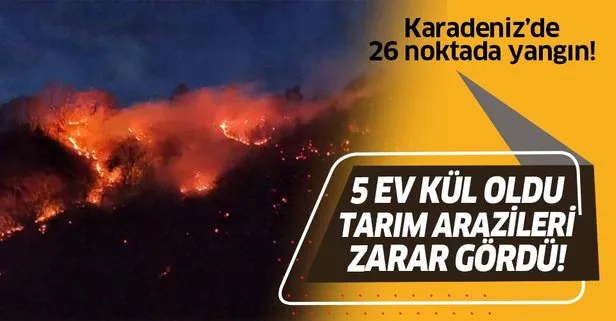 Karadeniz’de 26 noktada orman yangını! 5 ev kül olldu!