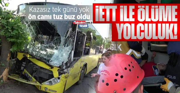 Pendik'te İETT otobüsü ağaca çarptı! Ön camı tuzla buz olan otobüste 4 yolcu yaralandı