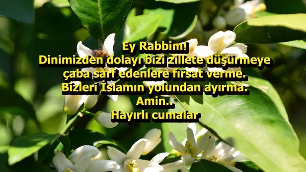 Cuma mesajları: 2018 Anlamlı ve yeni resimli cuma mesajları ile sevdiklerinizin cumasını kutlayın!-5