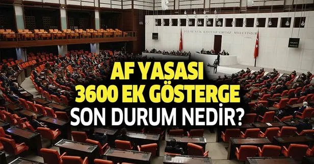 3600 ek gösterge, genel af yasası ne zaman çıkacak? 23 Kasım af yasası, 3600 ek göstergede son durum