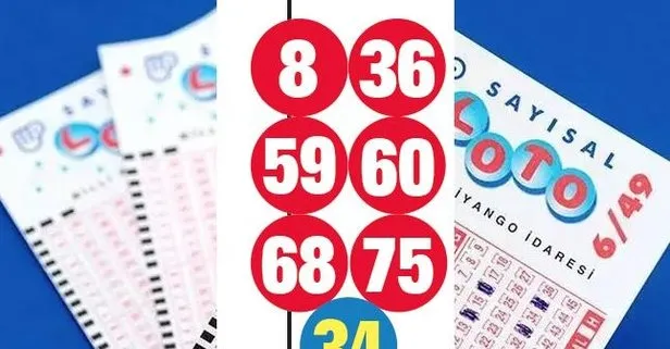 Çılgın Sayısal Loto 494 milyon devretti