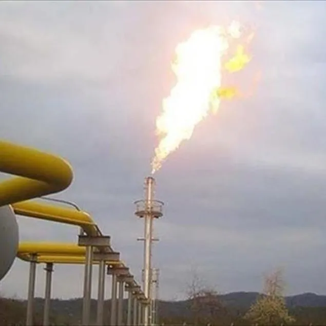 Petrol ve doğal gaz üretiminde rekor!