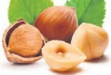 Fındığın sağlık etkileri saymakla bitmiyor
