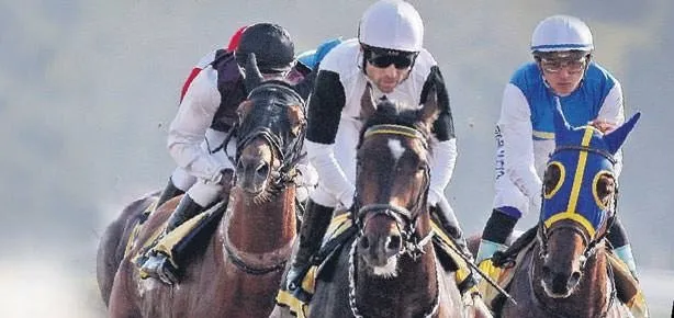 Buyrun derbi şölenine