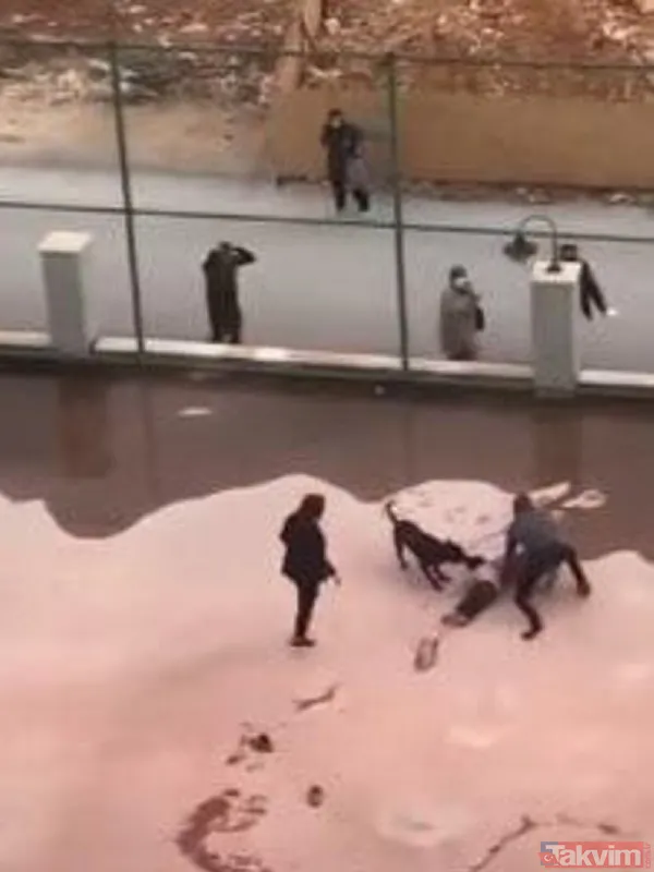 Pitbull saldırısına uğrayan Asiye Ateş Antalya'ya getirildi! Başkan Erdoğan bizzat ilgilendi: Asiye'nin tedavisini Prof. Ömer Özkan yapacak - 7