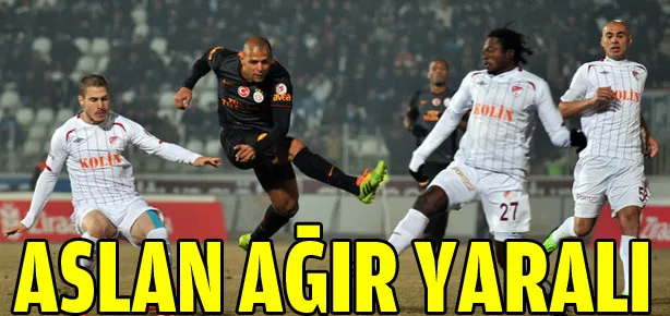 Aslan ağır yaralı