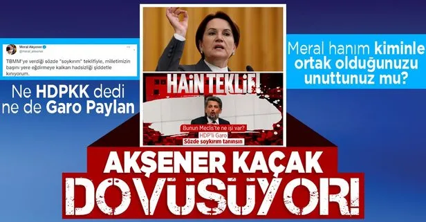 Meral Akşener kaçak dövüşüyor! HDP’li Garo Paylan’ın skandal ’soykırım’ teklifini isim vermeden eleştirince tepki çekti