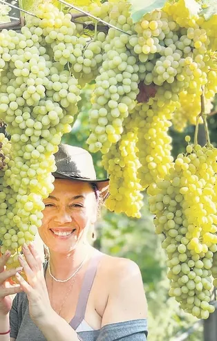 Kısa süre önce anne olan Demet Evgar toprağa yatırım yaptı! 1 milyon TL'ye...