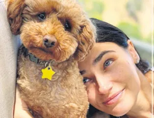 Kaju’ya büyük ödül