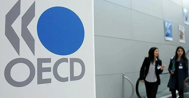 OECD, Türkiye tahminini yükseltti