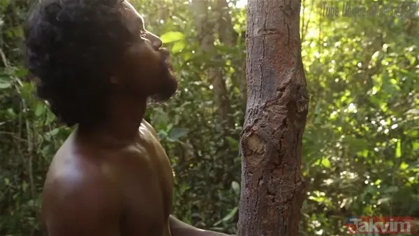 Sadece ağaç kullanarak öyle bir şey yaptı ki! YouTube videosu milyonlar izlendi - 8