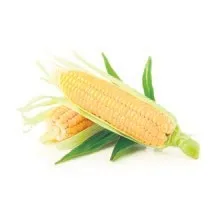 Gözlere süt mısır