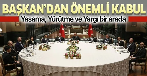 Başkan Erdoğan, yasama, yürütme ve yargı organlarının temsilcileriyle buluştu