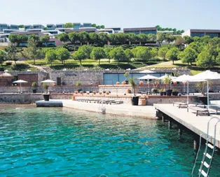 Uyanık ’tilkicik’ler