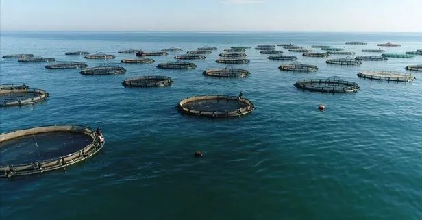 Doğu Karadeniz'den ihracata 44,2 milyon dolarlık kazanç!