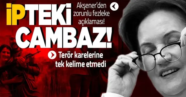 HDP’li Semra Güzel’in terör fotoğraflarına tek kelime etmeyen İyi Partili Meral Akşener’den fezleke açıklaması