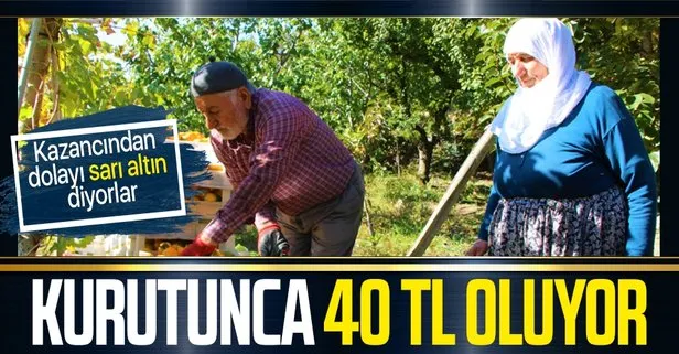 Dalında 3 lira kurutulunca 40 liradan satılıyor