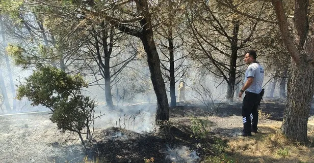 İstanbul Sultangazi Kent Ormanı'nda yangın! İnceleme başlatıldı