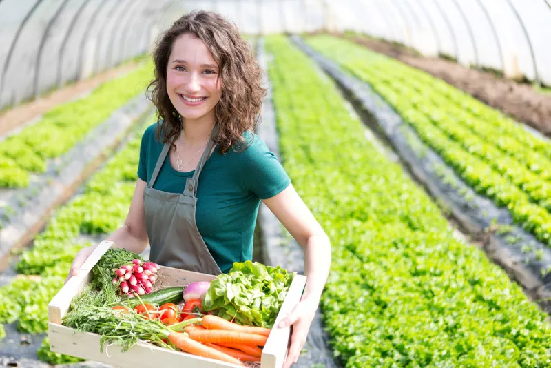 Tarımda 150 milyar dolarlık hamle - 2