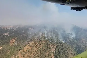 Aydın’da orman yangını 2’nci gününde