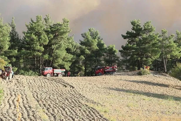 Son dakika: Denizli-Muğla sınırında orman yangını-3
