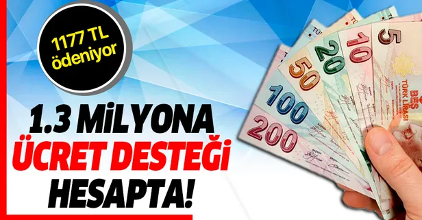 1.3 milyona ücret desteği hesapta! 1177 TL ödeniyor...