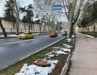 Çevre derneklerine şu anda ulaşılamıyor!