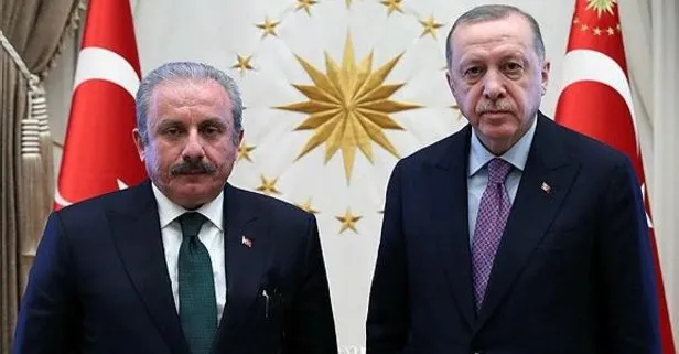 Başkan Erdoğan, TBMM Başkanı Şentop'u kabul etti