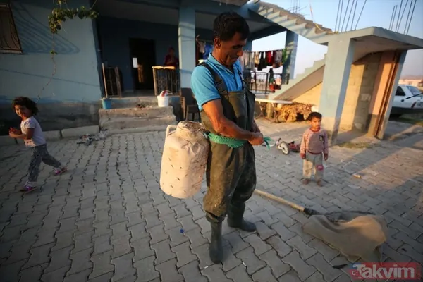 Günlük 900 lira kazanıyorlar! Türkiye'nin birçok ilinden toplanan kurbağalar Avrupa'ya ihraç ediliyor - 4