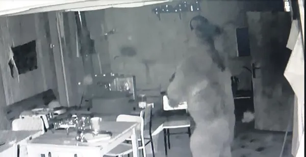 Ülkesinde yanlış tedavi uygulanan Ermina Gracanin Türkiye'de sağlığına kavuştu (Yaşam haberleri)-10