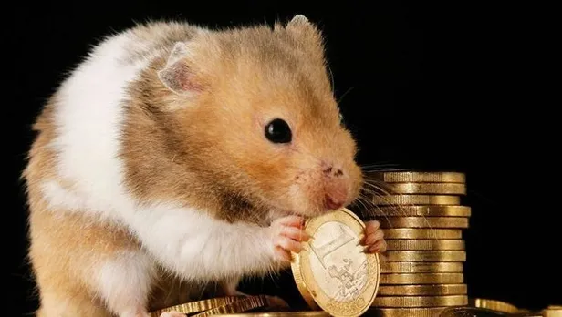 hamster-coin-nedir-nereden-alinir-hamster-coin-fiyatlari-ne-kadar-kac-tl-elon-muskdan-yeni-kripto-paylasimi-1634552907051.jpg Hamster Coin fiyatları ne kadar, kaç TL? Hamster Coin nedir, nereden alınır? Elon Musk'dan yeni kripto paylaşımı!-4
